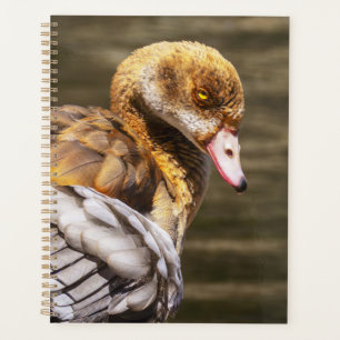 Egyptian Goose Close-Up Wildlife Bird Nature Art Planner