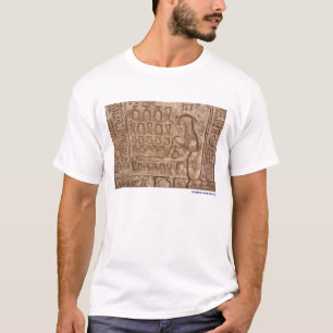 Egyptian Hieroglyphics T-Shirt