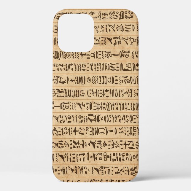 Egyptian Hieroglyphs: Grunge Seamless Magic Case-Mate iPhone Case (Back)