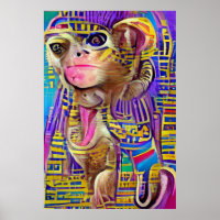 Egyptian Monkey