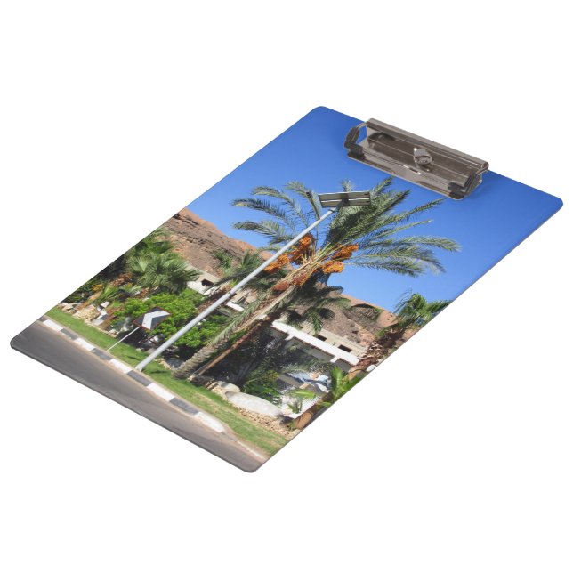 Egyptian palm trees   clipboard (Angled)