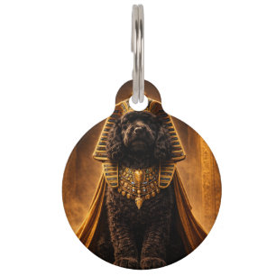 Egyptian Pharaoh Black Cockapoo Pet Tag