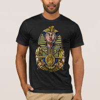 Egyptian Pharaoh Tutankhamun King Tut