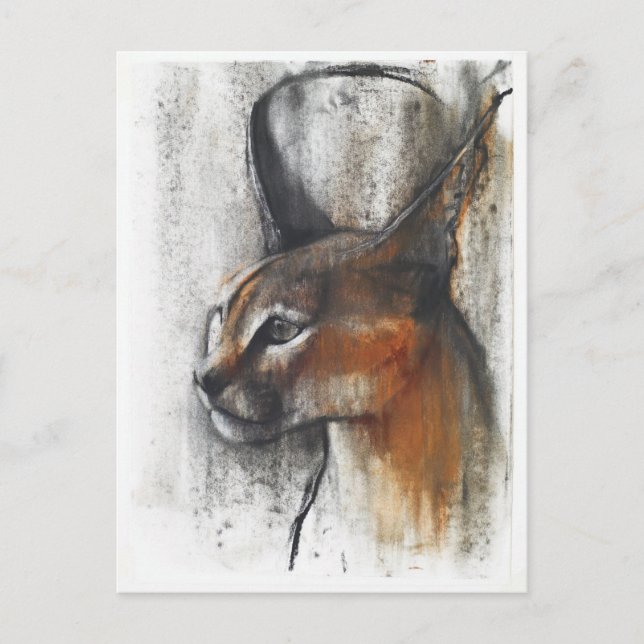 Egyptian Postcard (Front)