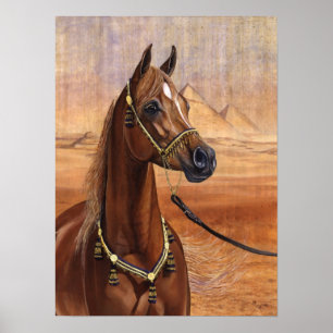 Egyptian Princess Arabian horse poster ALL SIZES