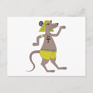 Egyptian Rat Postcard