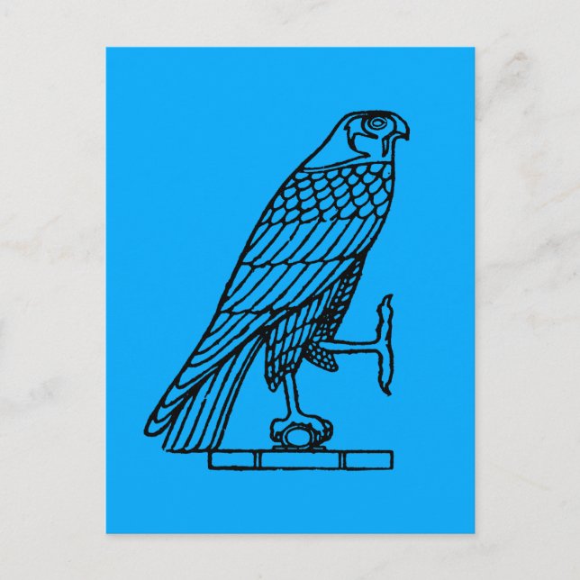 Egyptian Symbol: Falcon Postcard (Front)