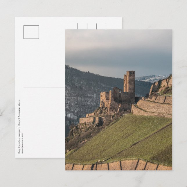 Ehrenfels Castle Germany Postcard (Front/Back)