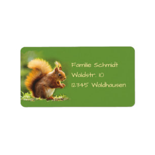 Eichhörnchen - grün label