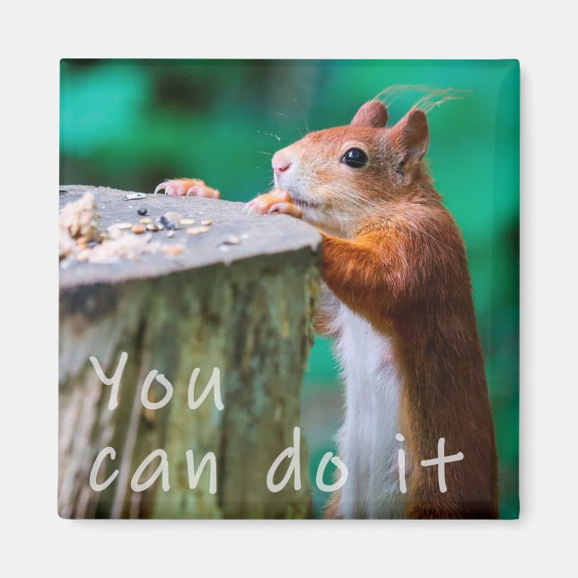 Eichhörnchen Motivationspruch Magnet (Front)