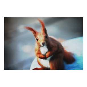 Eichhörnchen Photo Print