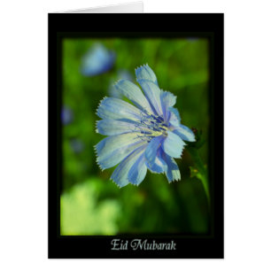 Eid Mubarak - happy Ramadan