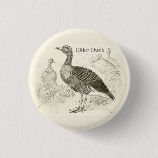 Eider Duck Button