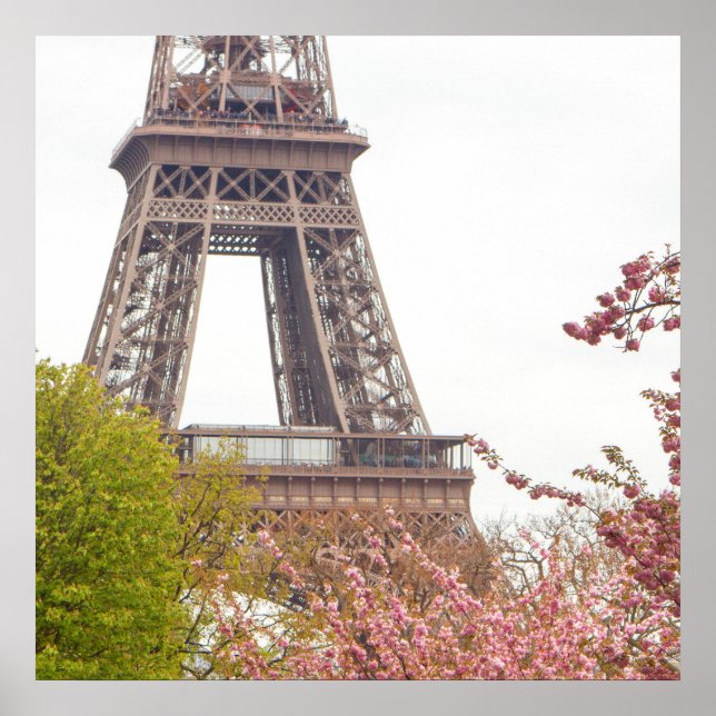 Eiffel Tower and Cherry Blossoms Poster (Front)
