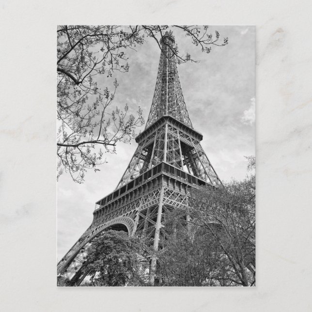 Eiffel tower Panorama Postcard (Front)