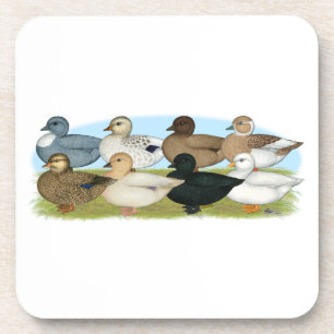 Eight Call Ducks Coaster