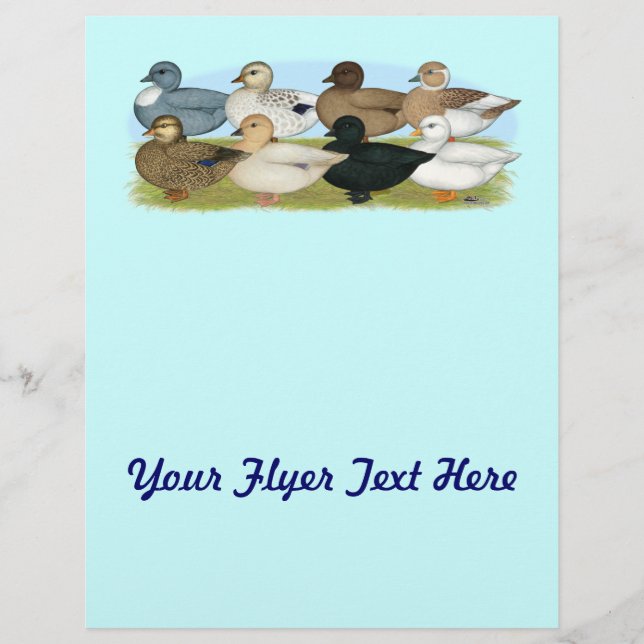 Eight Call Ducks Flyer (Front)