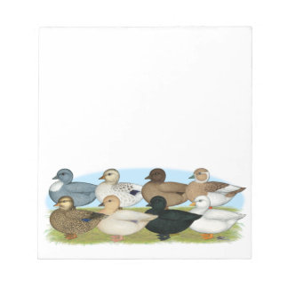 Eight Call Ducks Notepad