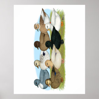 Eight Call Ducks Poster