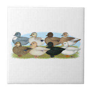Eight Call Ducks Tile