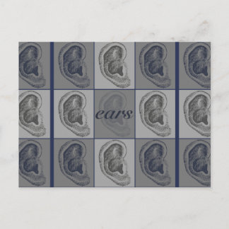 Eight Ears Graphic Postcard