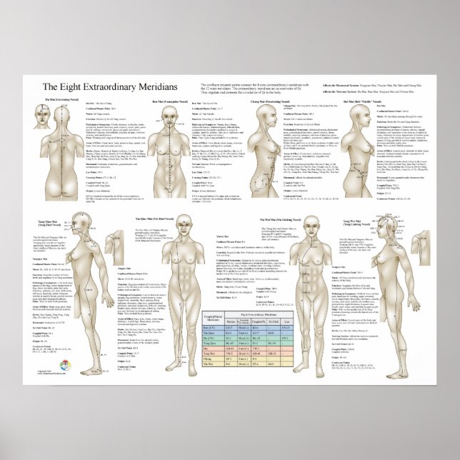 Eight Extra Acupuncture Extraordinary Meridians Poster (Front)