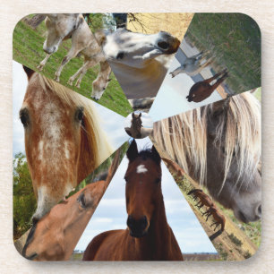Eight Horse Triangles, Coasters