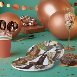 Eight Horse Triangles, Paper Birthday Plates