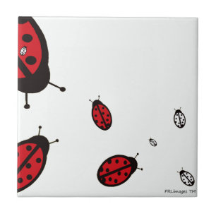 Eight Ladybugs On White Tile