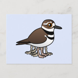 Eight-legged Killdeer Postcard