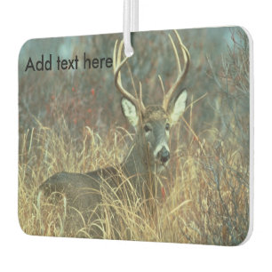 Eight Point Buck in the Grass Car Air Freshener