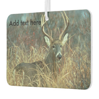 Eight Point Buck in the Grass Car Air Freshener