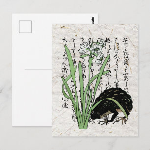 Eighteenth Century Japanese Botanical Frog Toad Postcard