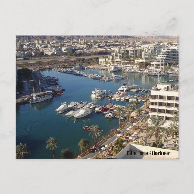Eilat Israel Harbour Holiday Postcard (Front)