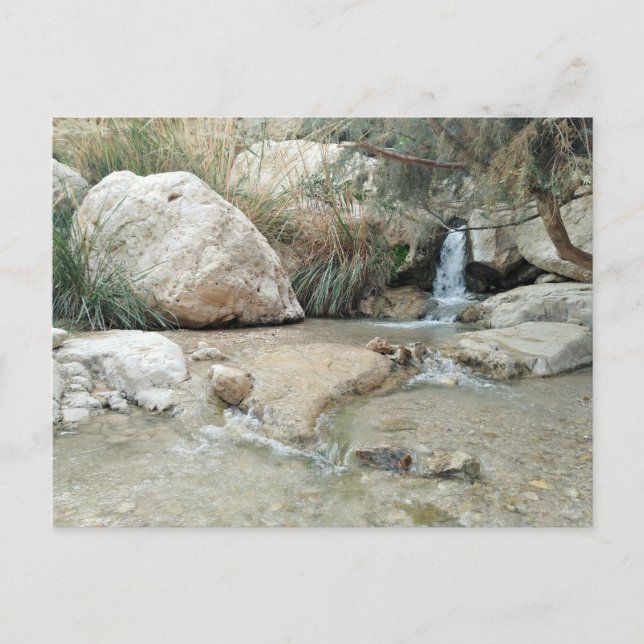 Ein Gedi Nature Reserve, Israel Postcard (Front)