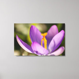 Ein Gefühl von Frühling für Dein Zuhause! Canvas Print
