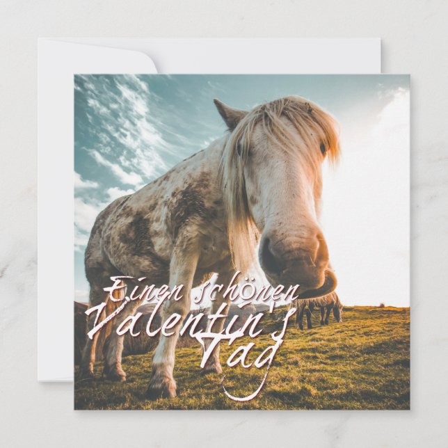 Einen schönen Valentinstag mit schauendem Pferd (Front)