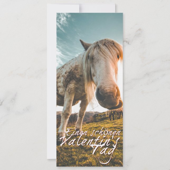 Einen schönen Valentinstag mit schauendem Pferd (Front)