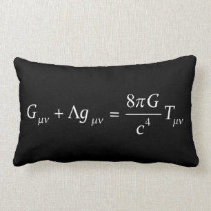 Einstein field equation lumbar cushion
