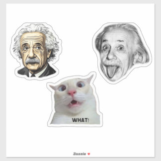 Einstein Genius & Hilarious Cat Sticker 