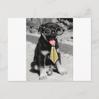 Einstein is one smart black puppy dog postcard