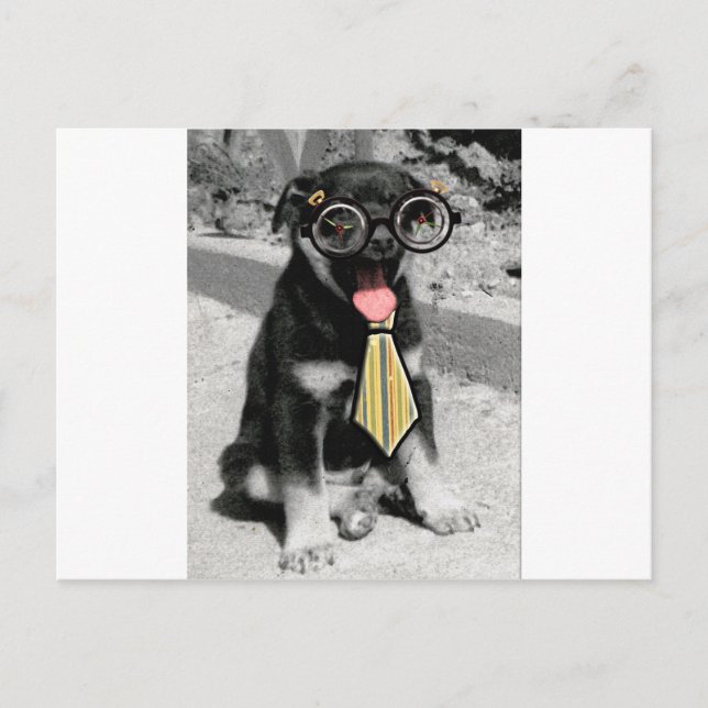Einstein is one smart black puppy dog postcard (Front)