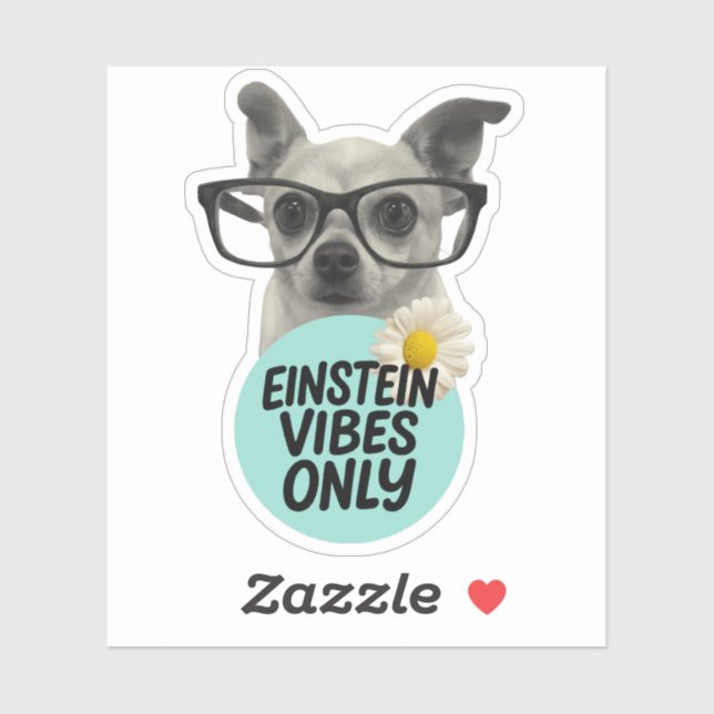 Einstein Vibes Only – Smart & Sassy Sticker (Sheet)