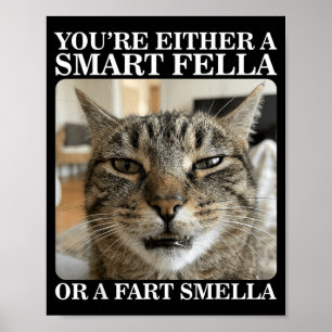 Either a Smart Fella or a Fart Smella Funny Cat Poster