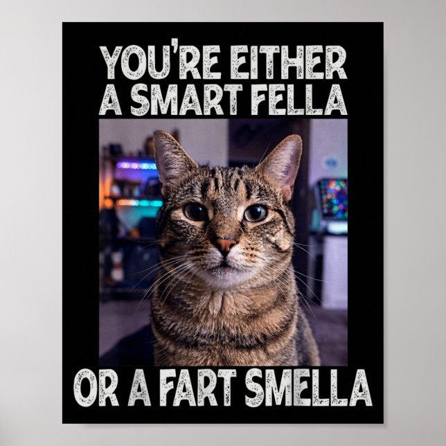 Either A Smart Fella Or A Silly Fella Funny Cat Poster (Front)