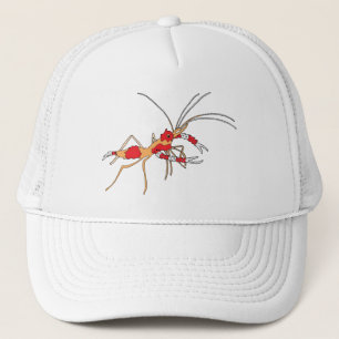ekos shrimp cap