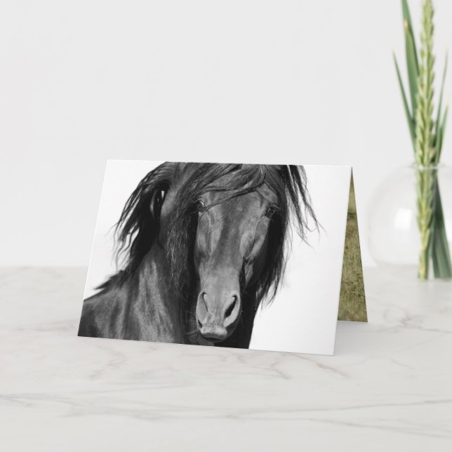 El Caballo Negro Horse Greeting Card (Front)