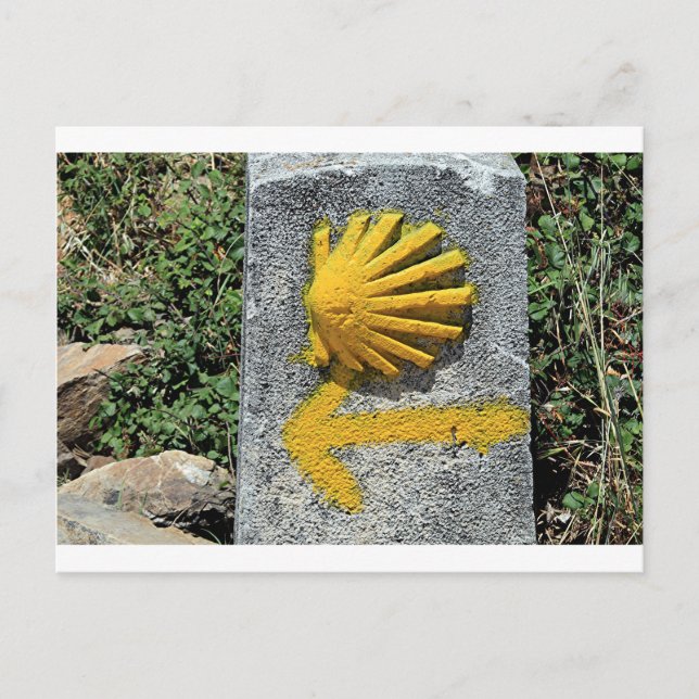 El Camino de Santiago de Compostela, Spain, shell Postcard (Front)