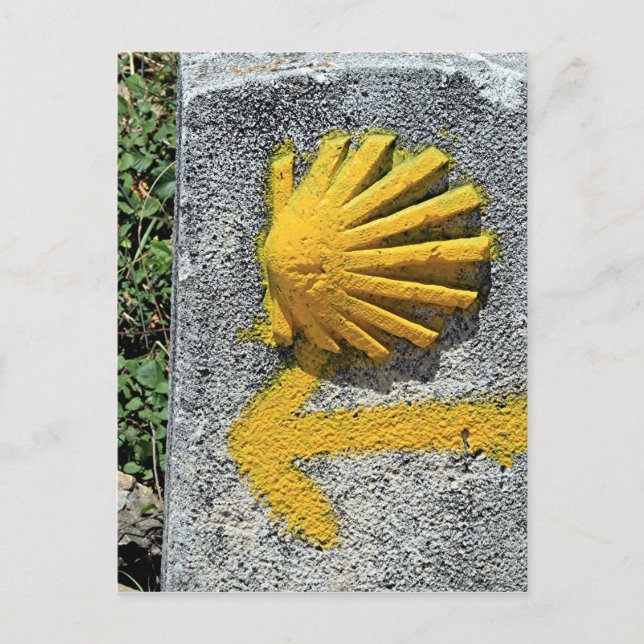 El Camino de Santiago de Compostela, Spain, shell Postcard (Front)