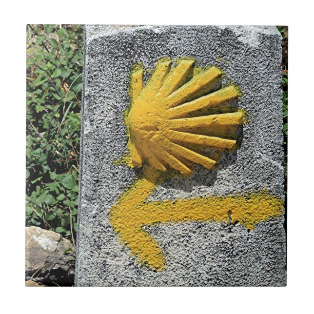 El Camino de Santiago de Compostela, Spain, shell Tile (Front)